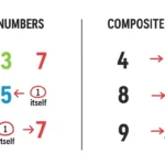 Difference Between Prime and Composite