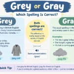 Grey or Gray
