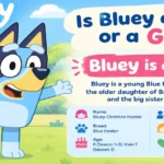 is bluey a boy or a girl